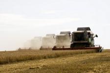 Рекордный урожай зерновых получен в Нижегородской области 