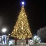 Новогоднюю ель начали устанавливать на площади Минина и Пожарского 