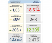 Койки нижегородских больниц загружены на 48% 