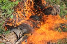 Высокая пожароопасность лесов и торфяников сохраняется в Нижегородской области 