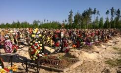 Десятки могил разрушили вандалы на кладбище в Лыскове 