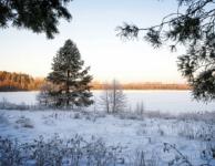 Нижегородское озеро Светлояр включили в топ-7 «мест силы» в России 