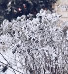 Мороз до -12°C и снег ожидаются в Нижнем Новгороде в пятницу   