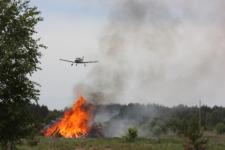 Пять пожаров произошли в нижегородских лесах за сутки  
