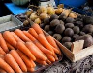 Картофель, морковь и лук стали дешевле в Нижегородской области  
