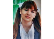 Доследственная проверка проводится по факту исчезновения 12-летней школьницы в Нижнем Новгороде  