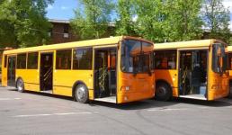 НПАТ улучшил выпуск автобусов на 9 маршрутах в Нижнем Новгороде 