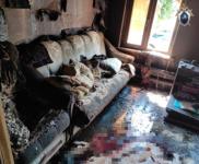 Хозяйка сгоревшего в Арзамасском районе дома была убита 