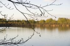 Тело погибшего мужчины извлечено из озера в Нижнем Новгороде 