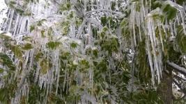 Ледяной дождь ожидается в Нижегородской области 27 января  
