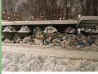 Нижегородцы пожаловались на мусорный коллапс во дворах после снегопадов 