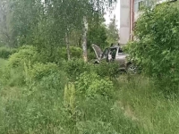 Водитель Skoda скончался за рулем и врезался в дерево в Дзержинске  