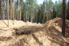 Деревьев на 167 тысяч рублей незаконно вырубили в Выксунском районе 
