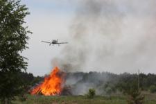 Вспыхнувший из-за грозы пожар на 41,9 га леса потушен в Навашинском районе 