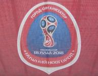 Футбольный урок "Навстречу Кубку Конфедераций FIFA 2017" прошел в нижегородской школе  