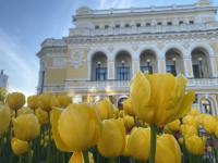 Программа «Культурные выходные» ждет нижегородцев 6-7 августа 