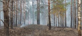 Площадь лесного пожара в Воротынском районе приблизилась к 5 000 га 