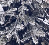 Морозы до -17 градусов ожидаются в Нижегородской области в декабре 
