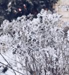Похолодание до -11°C со снегом ожидается в Нижнем Новгороде 15 марта   