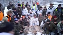 В Уренском районе 86 охотников убили стаю волков  
