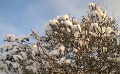 Температурные качели и снег ожидаются в Нижнем Новгороде в четверг 