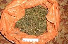 180 граммов наркотика каннабиса нашли в доме у жителя Дивеева 