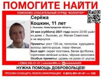 11-летний мальчик пропал в Нижегородской области 