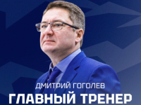 Дмитрий Гоголев стал новым главным тренером молодежного ХК «Чайка» 