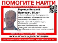 65-летнего мужчину третий день ищут в Нижегородской области  