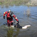 Тело утопленника извлекли спасатели из водоема в Нижегородской области 