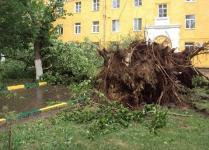 Ураганный ветер может вернуться в Нижегородскую область 