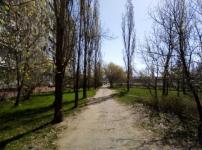 Шесть парков Нижнего Новгорода начнут обрабатывать от клещей с 11 апреля 