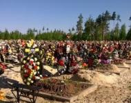 «Аллею славы» погибшим на СВО создали на Новосормовском кладбище 