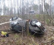 Два автомобиля опрокинулись в кювет в Нижегородской области 