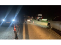 Пять человек пострадали в ДТП с лосем в Арзамасском районе 