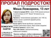 Поиски Марии Ложкаревой активизировались в Нижегородской области 