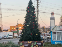 Новогоднюю елку установили на Бору в начале ноября 