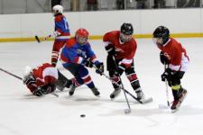 Шесть российских команд примут участие в детском хоккейном турнире в Нижнем Новгороде 