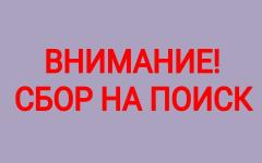 78-летний Александр Захаров пропал в Нижегородской области 