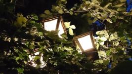 Замену почти 1200 уличных фонарей провели в Лукоянове Нижегородской области 