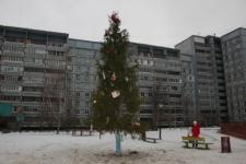 "Длинную и тощую" Новогоднюю елку в Канавинском районе Нижнего Новгорода поменяли на "пушистую красавицу" 