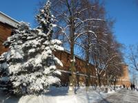 Солнечная погода и до -17°C ожидается в Нижнем Новгороде 10 марта 