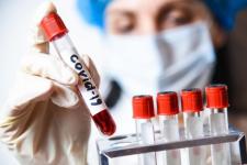Еще 222 человека заразились коронавирусом в Нижегородской области 