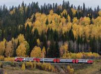 Дополнительные поезда «Нижний Новгород — Моховые горы» сохранят до 20 октября 