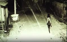Исчезновение 21-летней нижегородки попало на камеру видеонаблюдения 