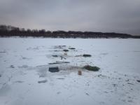 В Нижегородской области разрешили добычу налима с 20 января 
