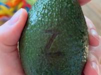 Правозащитнице прислали авокадо с буквой Z в Нижнем Новгороде 