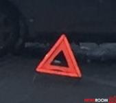 Женщина на Toyota пострадала в ДТП с лосем в Большемурашкинском районе 