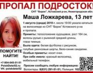 Объявлен новый сбор на поиски Маши Ложкаревой  