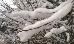 Никитин взял на контроль ситуацию со снегопадом в Нижегородской области 